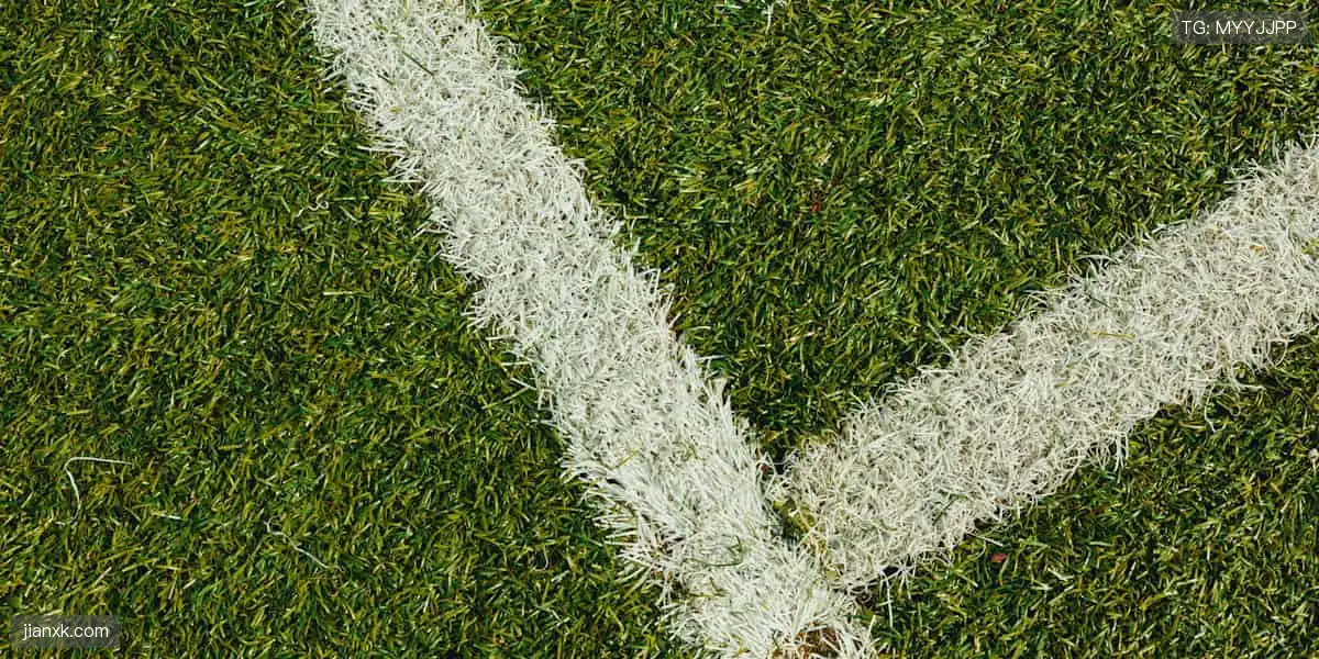 全球赛事，尽在你的指尖掌控🌐✌️